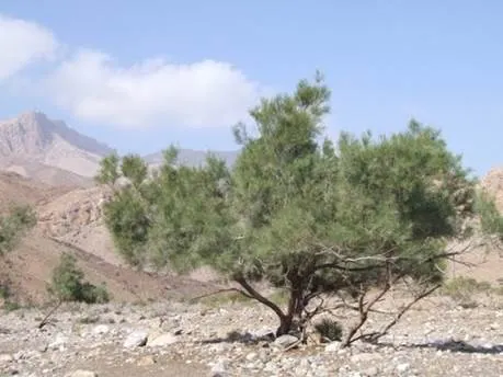 Data source: panoramio.com