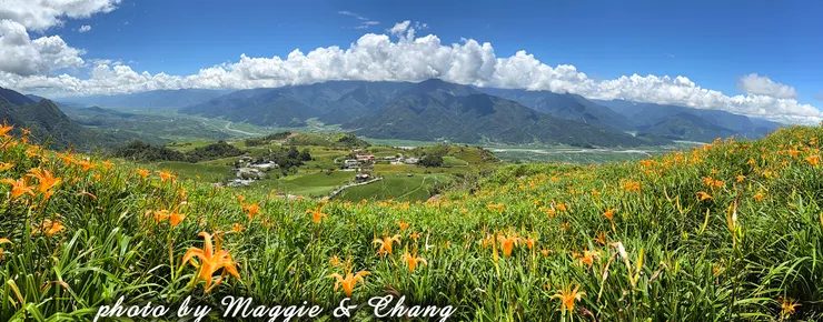 從高處俯瞰整個縱谷，綠色田野與蜿蜒山脈一覽無遺，天空和雲朵在遠方延伸，呈現縱谷深邃與開闊感。