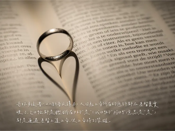 Photo by Michael Fousert on Unsplash