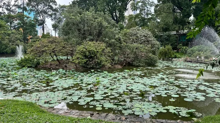 西貢動植物園園內保留大量百年老樹與熱帶植物，中心水池蓮花盛開，是城市中難得的綠色空間