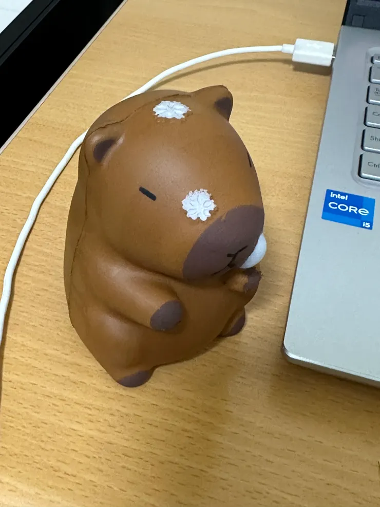 模樣呆萌、帶著懶散悠閒氣息的水豚被做成各種玩偶等商品,深受女生及小朋友喜愛