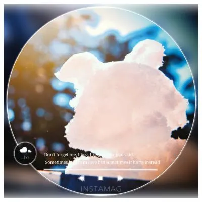 來自北極星的熊的沙龍