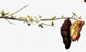 不斷的積累堅持，只為了成為更好的人