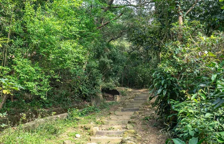 台北.內湖.金面山.金面山親山步道.登山步道