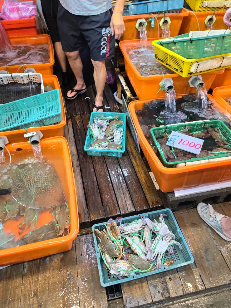 龜吼漁港一籃$1000