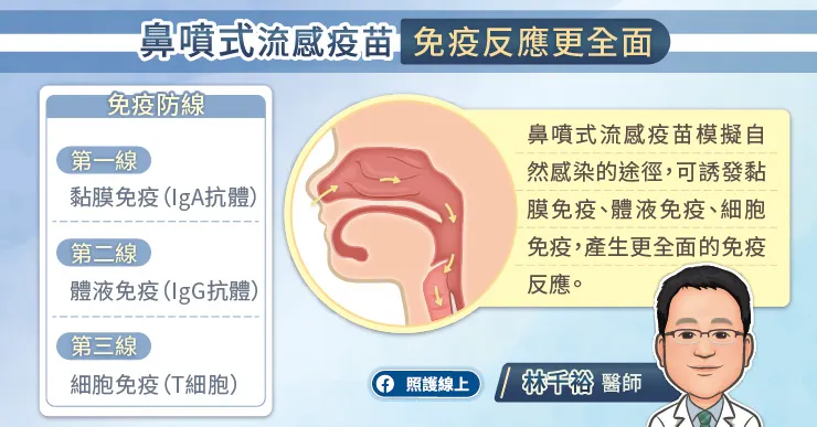 鼻噴式流感疫苗免疫反應更全面