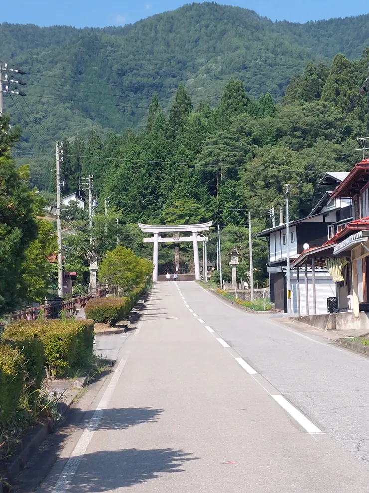在烈日下筆直的道路漸漸地通往神社，沒有任何人跟車，只有微微煩躁的蟬叫聲在凝劑的夏日跟隨我前進