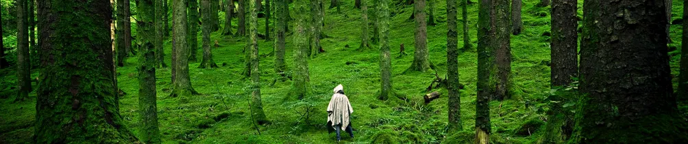 Cherry 的奇幻天地的沙龍