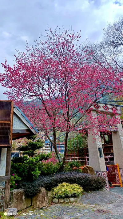 《Vox Rosenna | Page.6》