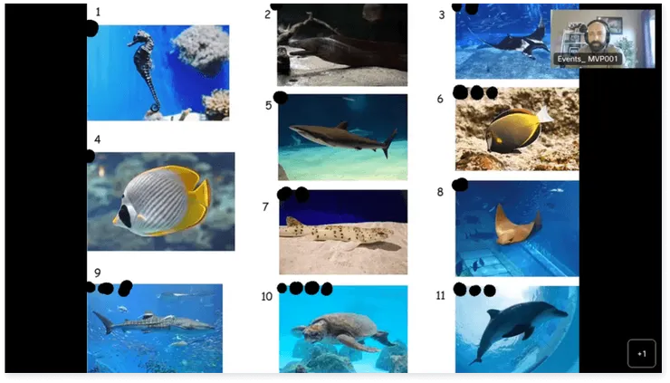 大會堂上課畫面