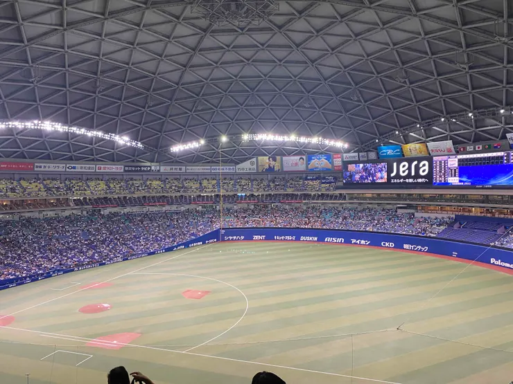 雖然是「二手票」，但視野也不錯！