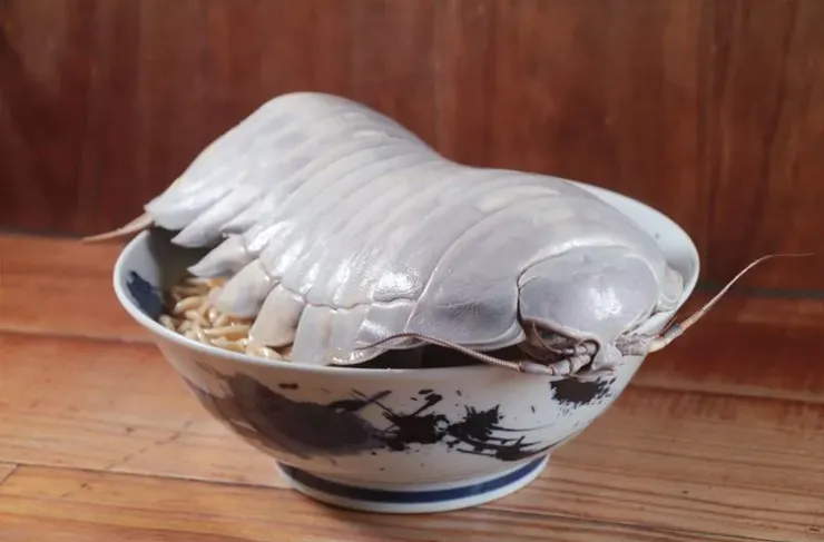 圖片來源：網路