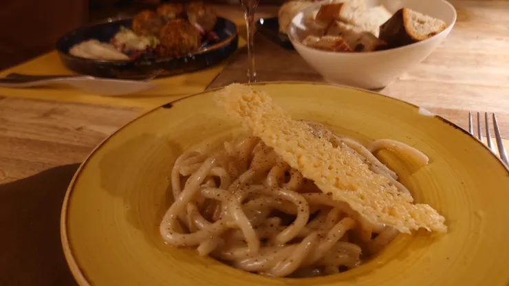 Photo: Zora @ Siena, Italy. Aug 24, 2024.