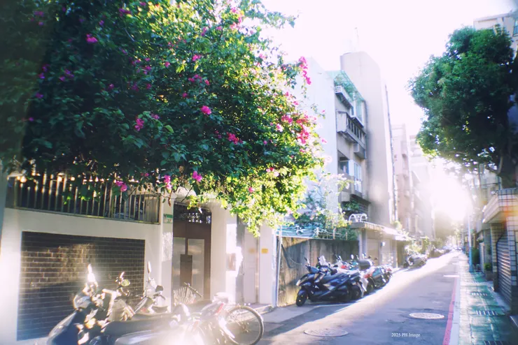 名符其實的塑膠鏡片質感