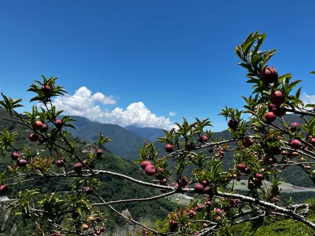 流著口水是合理的,你說呢