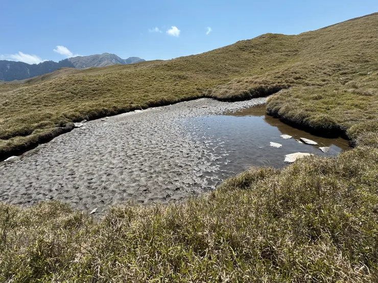 途經黑水塘，領隊指著水說：這比我們昨天取的水還好（驚！）。
