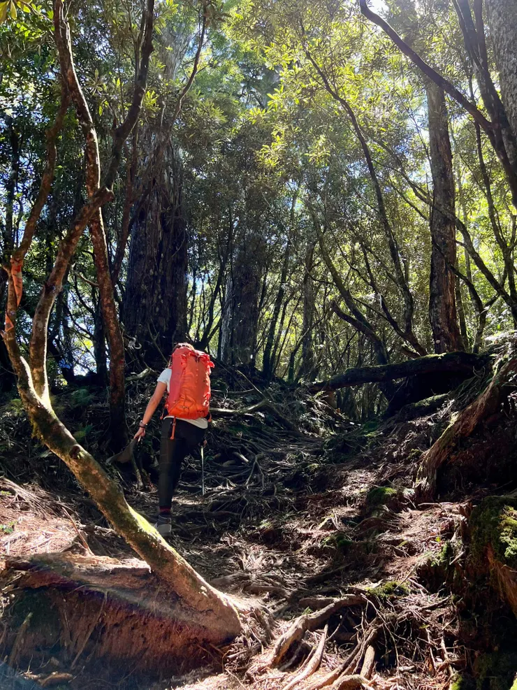 走走停停認真拍照