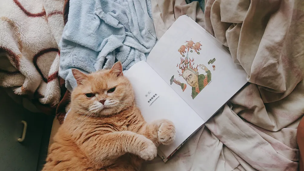 老闆娘說有的沒的