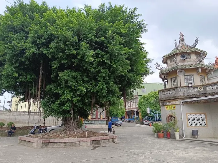 廟前一顆大榕樹提供休息（圖片截圖於網路）