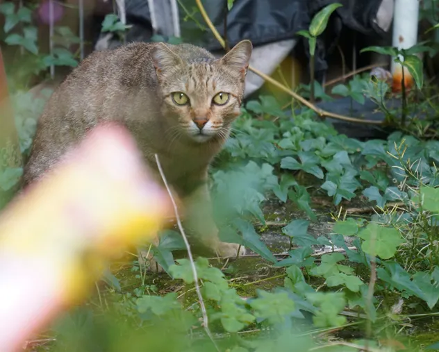 是吃的！是好人..嗎？