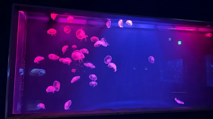 不知不覺就在前面站好久。