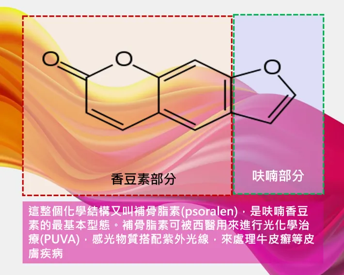 呋喃香豆素和香豆素常被搞混