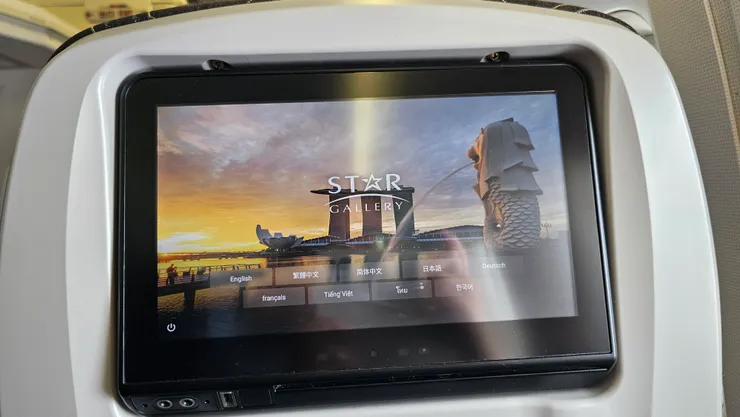 飛機上的新加坡畫面二!