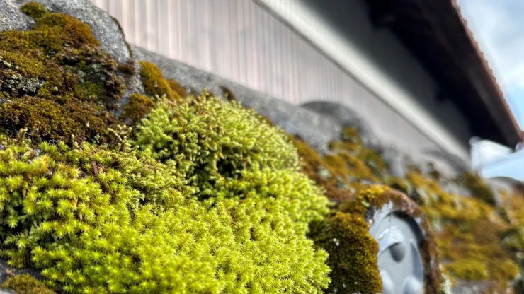 圖片來源:個人攝影