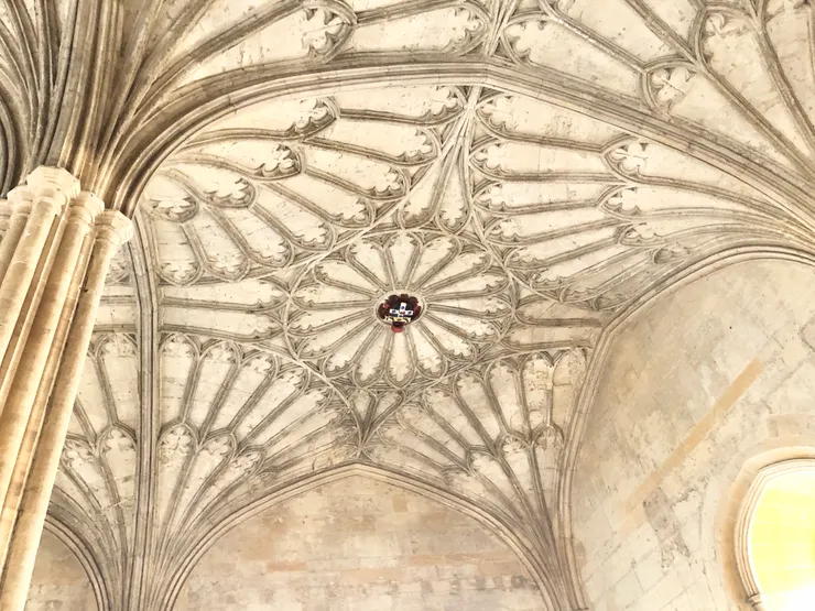 vaulted ceiling（拱型天花板）非常優雅精緻