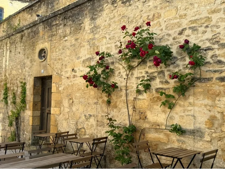 玫瑰花相伴吃飯是什麼味道？經過這家餐廳，我忍不住多看了二眼