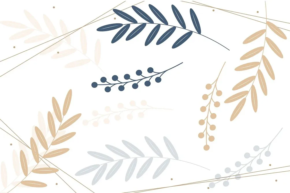 月亮知道拾六在冥想