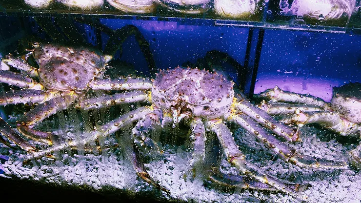 林口海鮮餐廳【拿靠生猛海鮮】媲美海港級料理，節慶聚會推薦餐廳