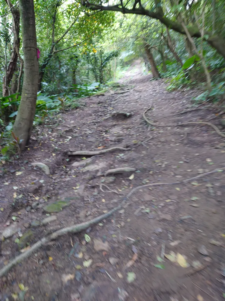 往東砲台與一個稱作台版吳哥窟的砲台遺跡