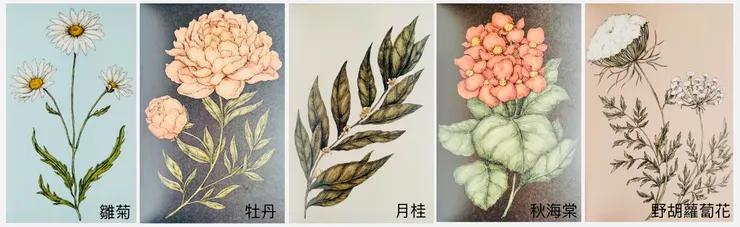 圖片來源：《花瓣裡的悄悄話》/ 商周出版 