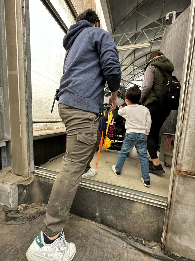 2023時來到舊廠採番茄,這門檻是礙。