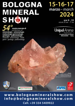 波隆那礦物展的54屆依舊在Umipol Arena舉行