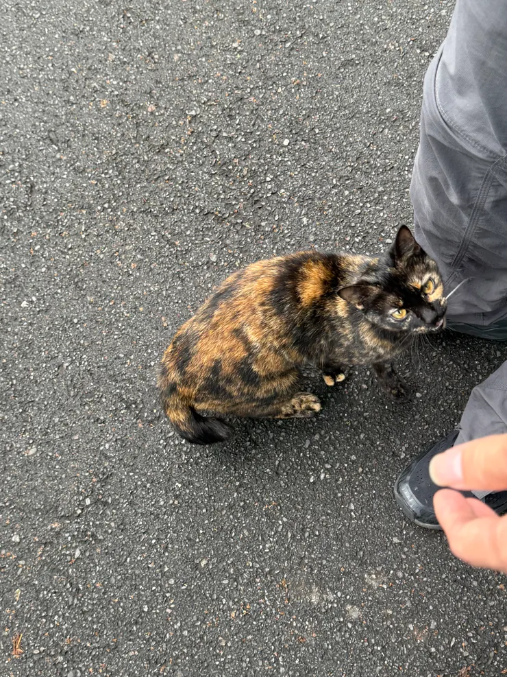 2026/04/01 蹭西瓜哥