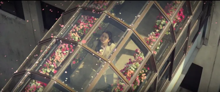 總會看著天空等斗植回來的美賢。