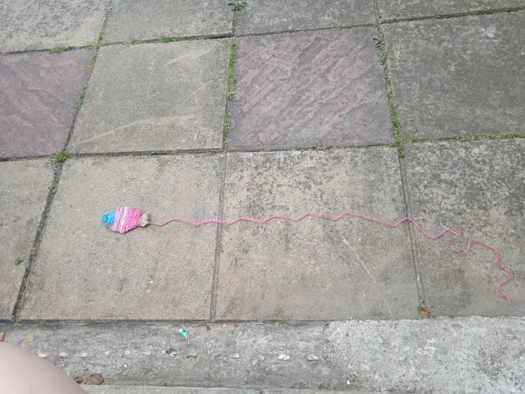 注意看，我把這條粉色魚變成這樣了，我破壞王可是名不虛傳的，把繩子咬成這樣可是不容易