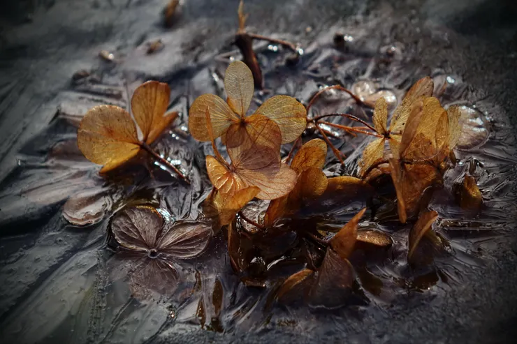 真相被稀釋下的未完成正義-圖片來源：Pixabay