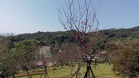 [台北旅遊]具有凱達格蘭族歷史傳說的地方，從台北市第四公墓到