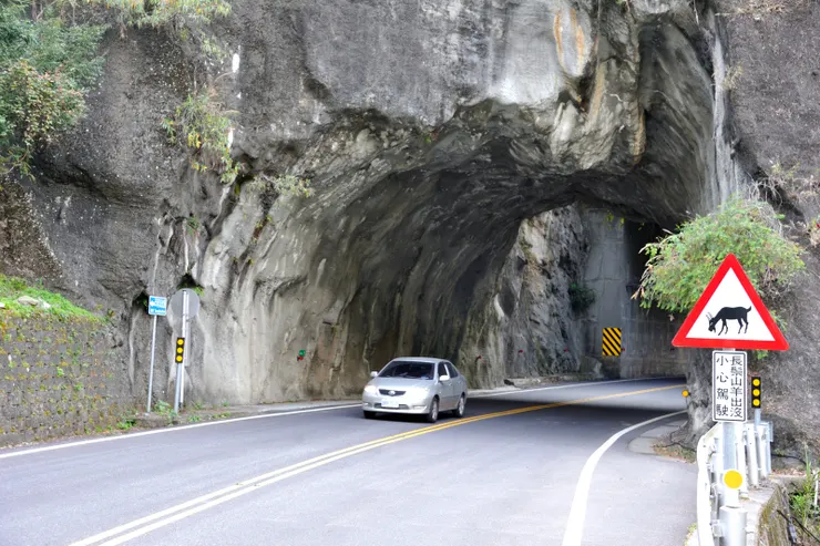 【往步道途中，路旁告示「長鬃山羊出沒」，害我東張西望了半天，一點蹤影也無。】