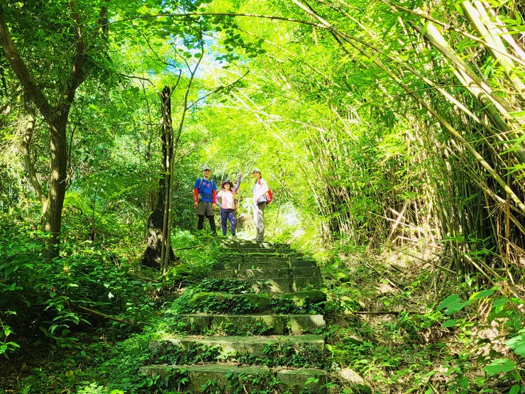 前段為石階步道，兩側竹林成蔭，走起來十分舒爽