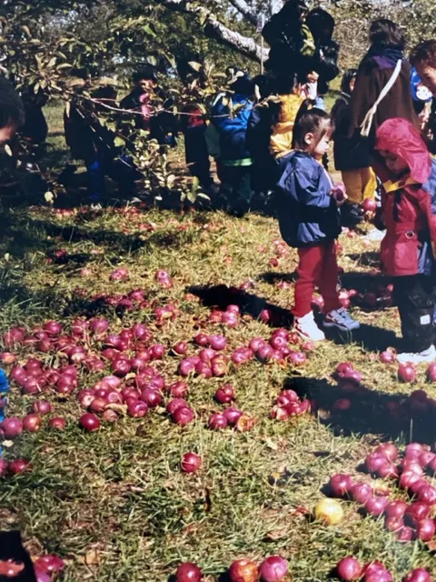 採摘蘋果是小朋友們最喜歡的秋天活動。
