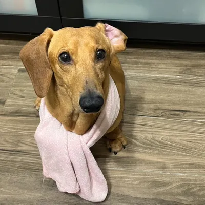 龜在家看書的沙龍