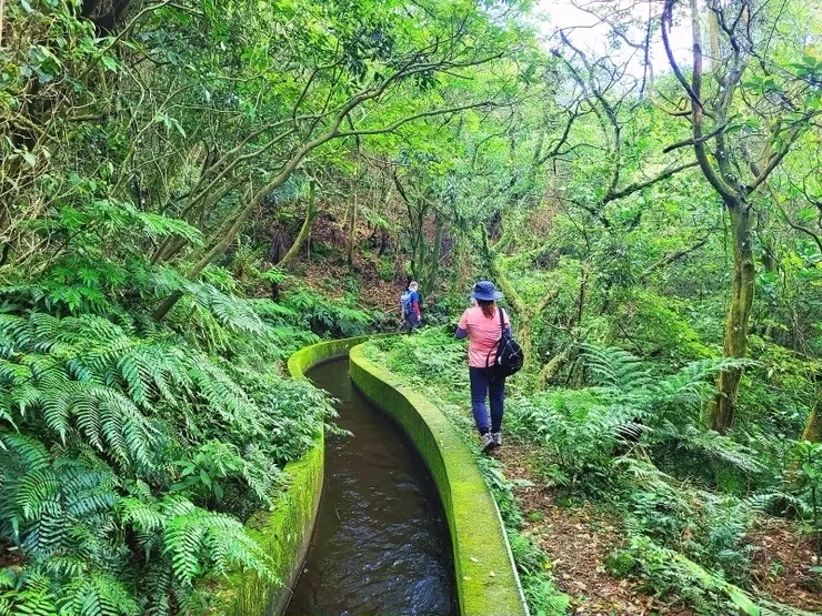 八煙水圳（頂中股圳)