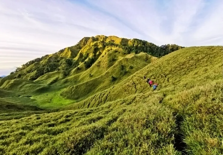 ↑能高安東軍的連綿綠毯，從山的北側舖蓋過山巔，往南迤邐，形成一片廣袤柔美的草原風光。