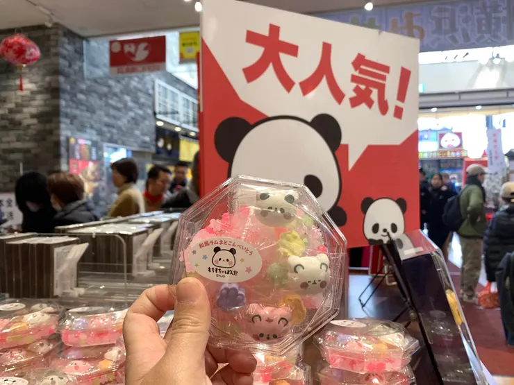 熊貓寶寶-四川代表