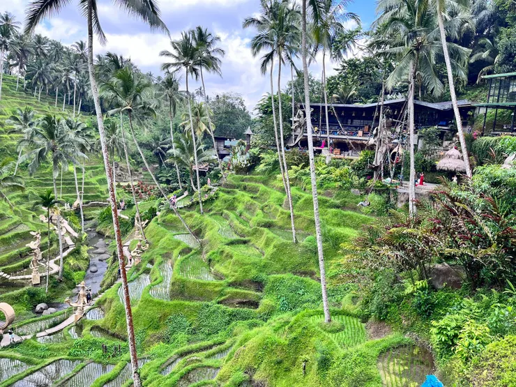 （Claire Chen提供）