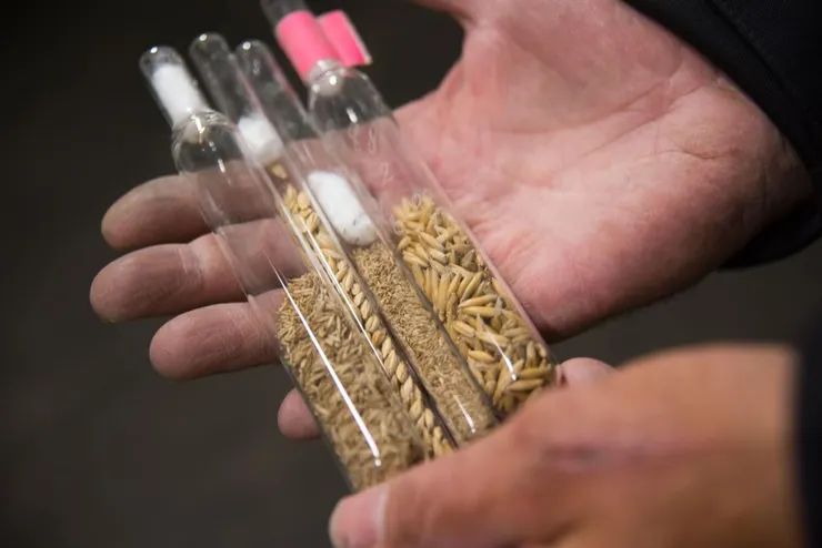 圖片來源：Visit Svalbard